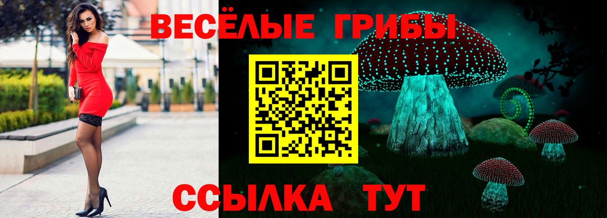 Псилоцибиновые грибы прущие грибы Джанкой